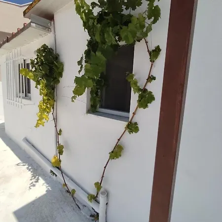 House Of Sun Fanes (Rhodes)